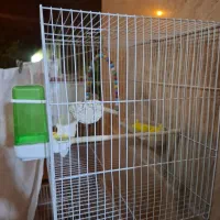 قفس سالم و نو|لوازم جانبی حیوانات|مشهد, چهارچشمه|دیوار