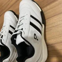 کتونی پاما نو مدل ۳۰۳۳۱ زیر قیمت نمایندگی|کیف، کفش، کمربند|لاهیجان, کوی آزادگان|دیوار