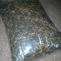 چای ارگانیک لاهیجان زیبای گیلان عزیز جان