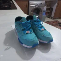 کتونی|کیف، کفش، کمربند|کرج, کوی زنبق|دیوار