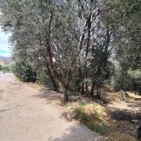 فروش زمین ۲۴۳ متری رودبار الیزه|فروش زمین و ملک کلنگی|رودبار, |دیوار