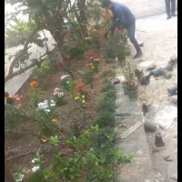 سمپاشی وباغبانی بادستگاههای مجهزی درتمام تهران|خدمات باغبانی و درختکاری|تهران, شهرک غرب|دیوار