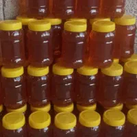 فروش عمده و جزئی عسل|خوردنی و آشامیدنی|شیراز, فرگاز|دیوار