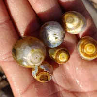 باباقوری|جواهرات|آیسک, |دیوار