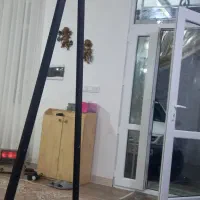 رگال فروشی