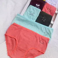 انواع شورت زنانه|لباس|رشت, دیانتی|دیوار