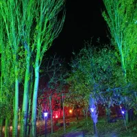 باغ ویلایی و باغ شهری