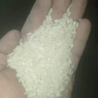 برنج اصل کامفیروز به شرط|عمدهفروشی|کامفیروز, |دیوار