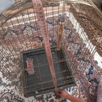 قفس پرنده درحدنو۱۳۰۰