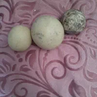 فروش سنگ قیمتی