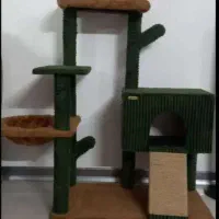 خانه گربه