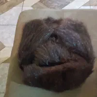 کلاه روسی اصلی|کیف، کفش، کمربند|ری, شهادت|دیوار