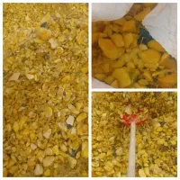 کدو اسیاب شده دام