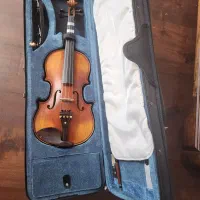 ویلون حرفه‌ای