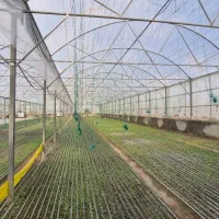 فروش انواع گلخانه های صنعتی و نیمه صنعتی و خانگی