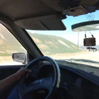 روآ 86