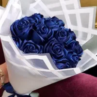 گل ربانی