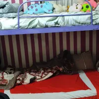 تخت دو طبقه