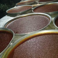 لواشک|خوردنی و آشامیدنی|تهران, بهداشت|دیوار