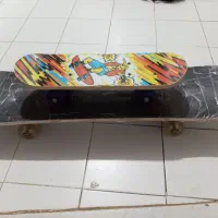 اسکیت حرفه ای