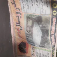 تشک تخت تک نفره|تشک تختخواب|همدان, |دیوار