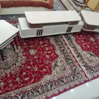 سرویس خواب|تخت و سرویس خواب|قم, انصار‌الحسین|دیوار