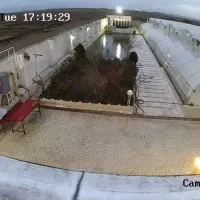 اجاره گلخانه ۲۵۰۰ متری|اجارهٔ دفتر صنعتی، کشاورزی، تجاری|بهار, |دیوار