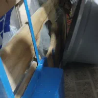 چهارچرخ|دوچرخه، اسکیت، اسکوتر|رباط‌کریم, الارد|دیوار