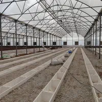 اجرا و نصب انواع گلخانه های ایرانی وخارجی