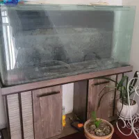 آکواریوم شیشه خم