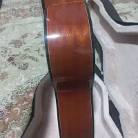 گیتارپالادوcg80|گیتار، بیس، امپلیفایر|پردیس, فاز ۴|دیوار