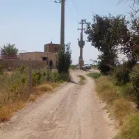 ۲۶۵۰ متر باغ سند تک برگ