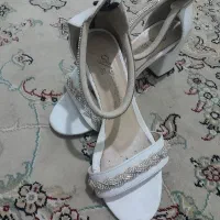 کفش مجلسی