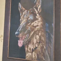 تابلو سگ نخ دمسه آلمانی با قاب چوبی