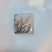 شجر|جواهرات|کهریزک, |دیوار