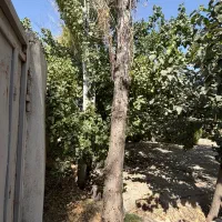 زمین-شهرکی-سنددار-به-قیمت-کاسبی-چهارباغ