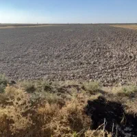 زمین کشاورزی غرق آبی به مساحت ۱.۷ هکتار|فروش دفتر صنعتی، کشاورزی، تجاری|سوسنگرد, |دیوار