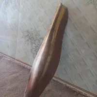 طلع یا گرده