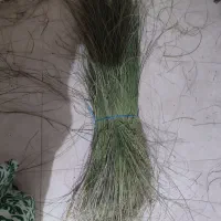کرتک