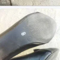 کفش مجلسی زنانه|کیف، کفش، کمربند|یاسوج, |دیوار