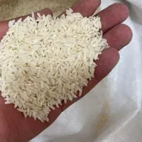 نخوددیم لوبیا برنج سالم دورودلرستان موجودتناژخورد
