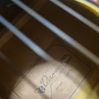 گیتار|گیتار، بیس، امپلیفایر|بندرعباس, |دیوار