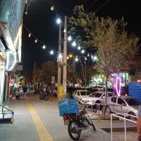 ۶۰متر بر اصلی بلوار پروین