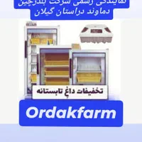 نماینده فروش دستگاه جوجه کشی  رشت تخفیف تابستانه|لوازم جانبی حیوانات|سنگر, |دیوار