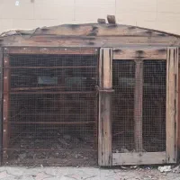 قفس آهنی سالم خوشگل