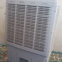 فرش کولر|کولر آبی|جازموریان, |دیوار