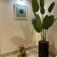 وکیل پایه یک دادگستری