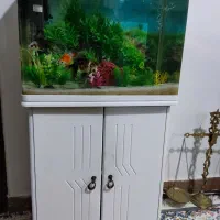 اکواریوم شیشه خم شرکتی