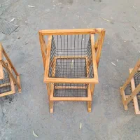 جاسیب زمینی پیاز