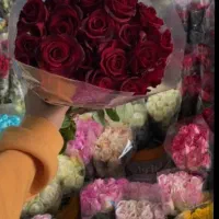 پخش گل رز و انواع گل ها به قیمت پخش